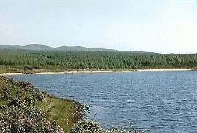 Photos for house 3378