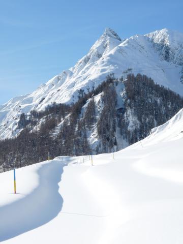 Photos for house 3379