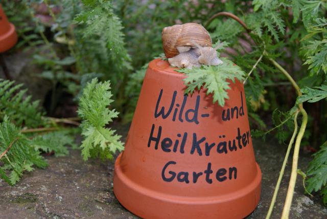 Photos for house 3631