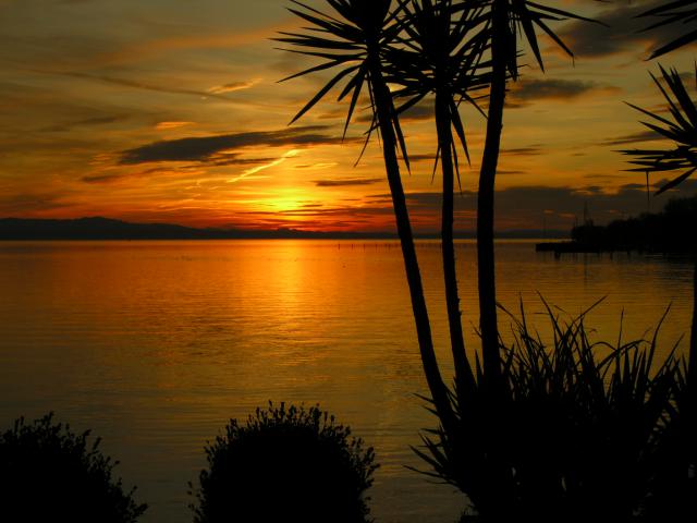 Photos for house 3689