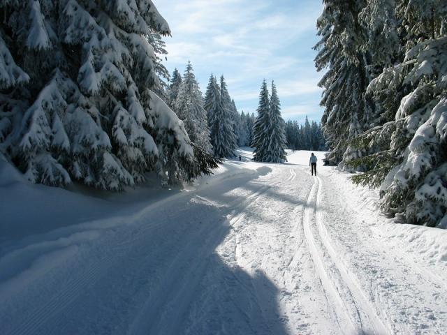 Photos for house 3731