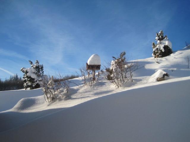 Photos for house 3731