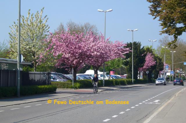 Photos for house 3842