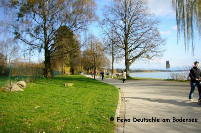 Photos for house 3842