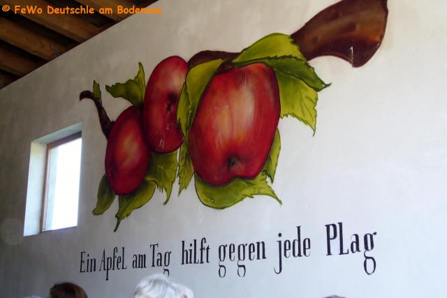 Photos for house 3842