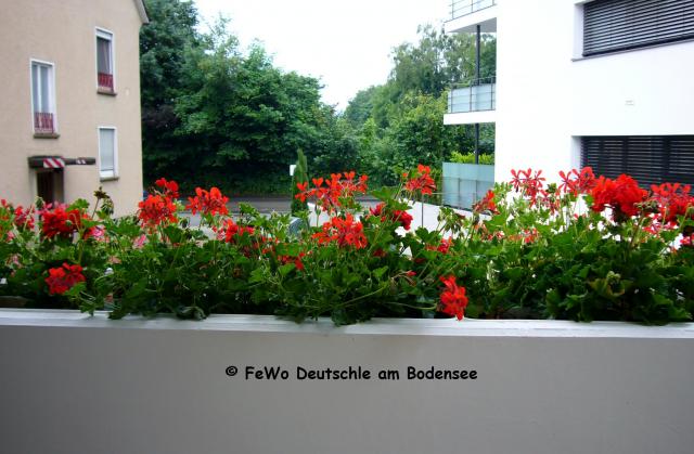 Photos for house 3842