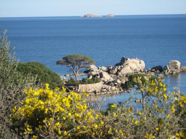 Photos for house 3882