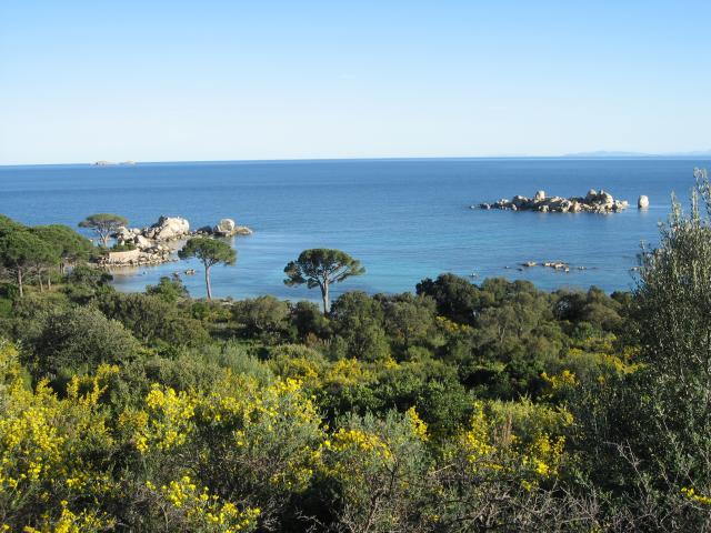 Photos for house 3882