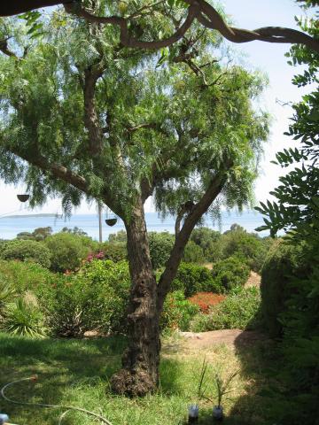 Photos for house 3882