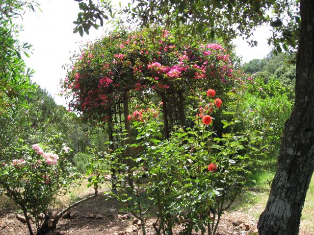 Photos for house 3882