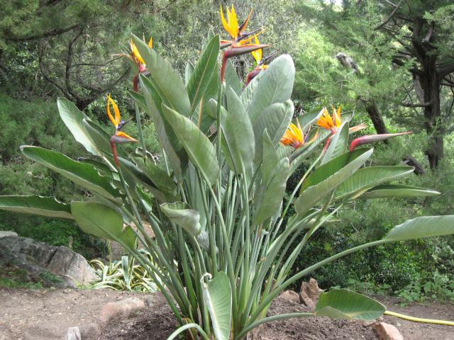 Photos for house 3882