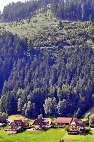 Photos for house 3953