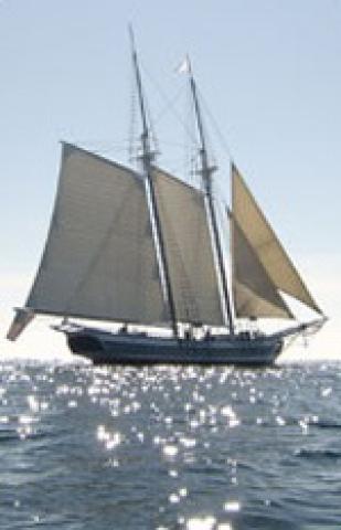 Photos for house 4189