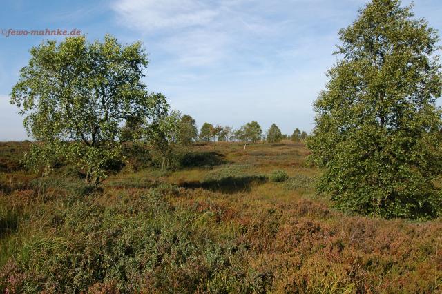 Photos for house 4221