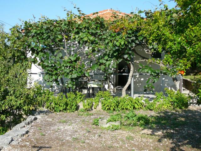 Photos for house 4244