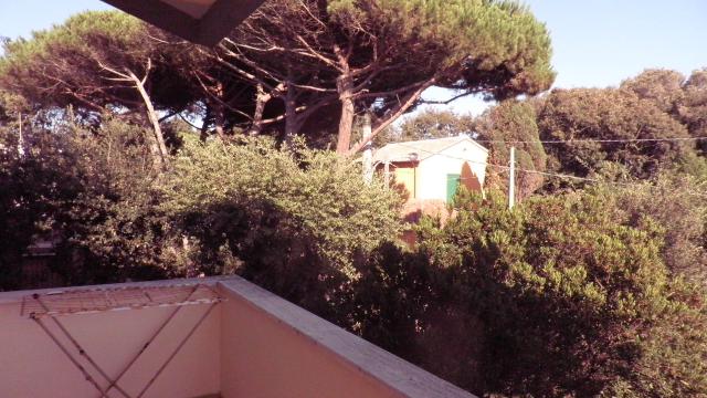 Photos for house 4450