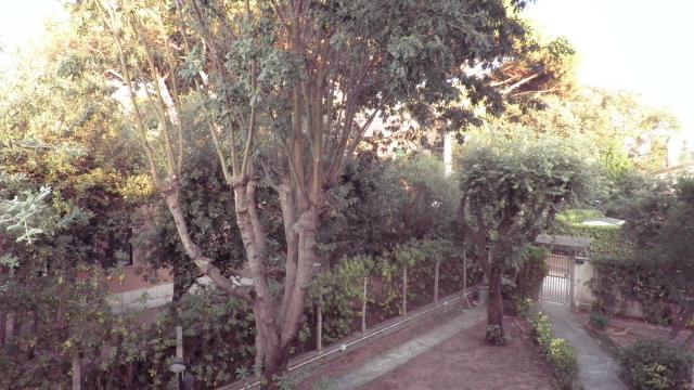 Photos for house 4450