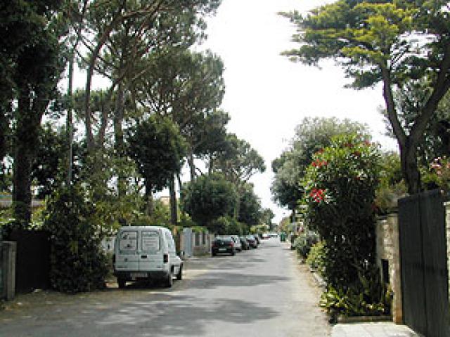 Photos for house 4461