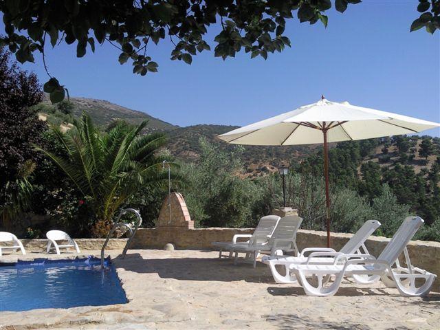 Photos for house 4568