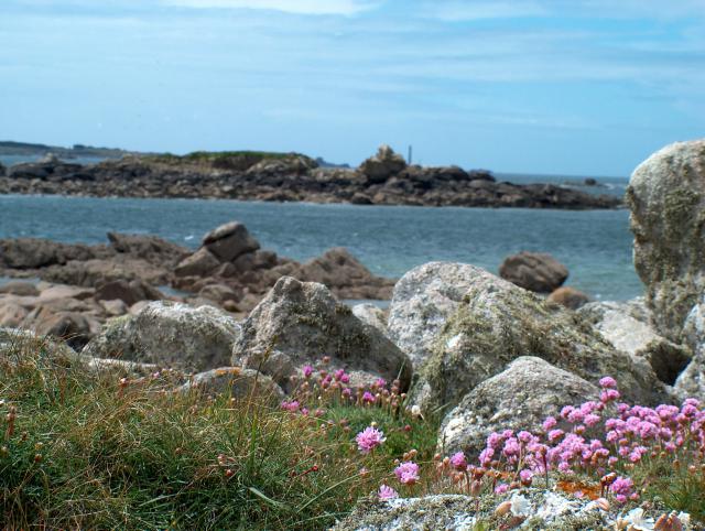 Photos for house 4611