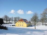 Photos for house 488