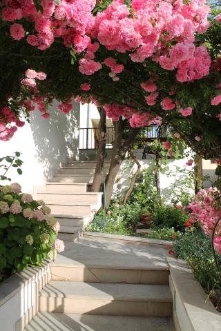 Photos for house 4899