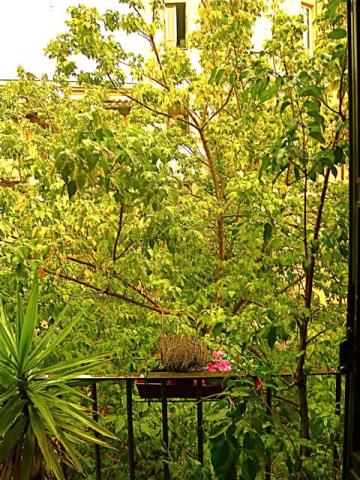 Photos for house 5012