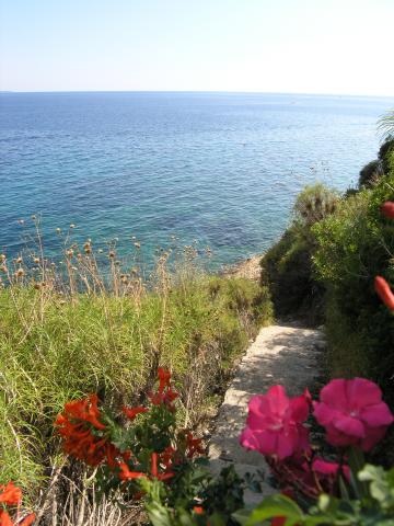 Photos for house 5067