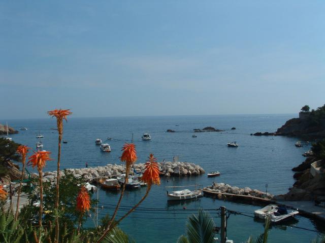 Photos for house 5347