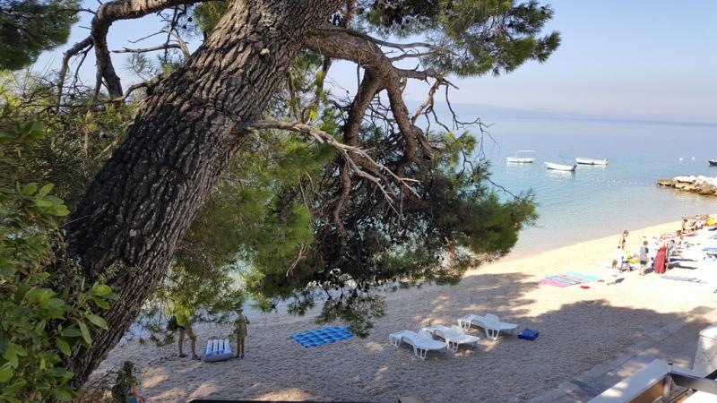 Photos for house 5393