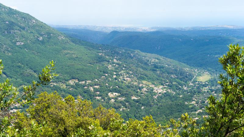 Photos for house 5428