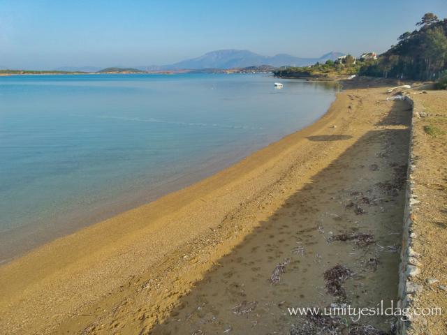 Photos for house 5921