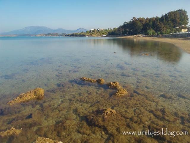 Photos for house 5921