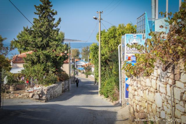 Photos for house 5921