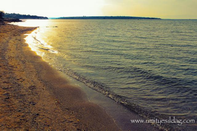 Photos for house 5921