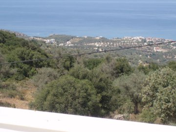 Photos for house 606