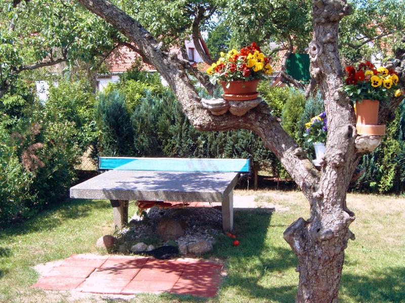 Photos for house 6307