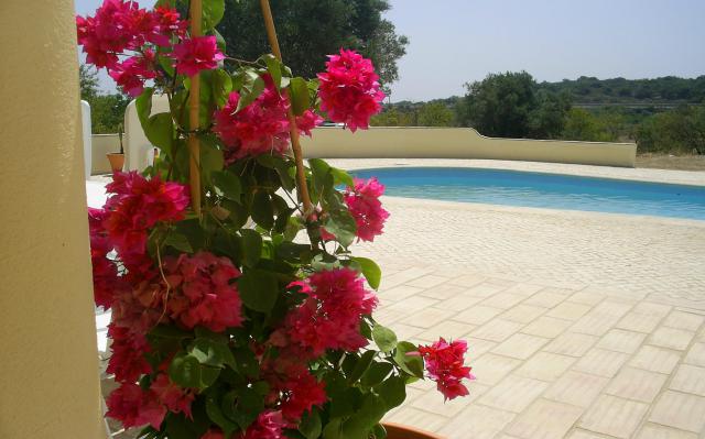 Photos for house 6417