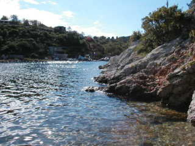 Photos for house 6497