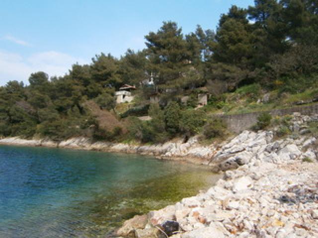 Photos for house 6497