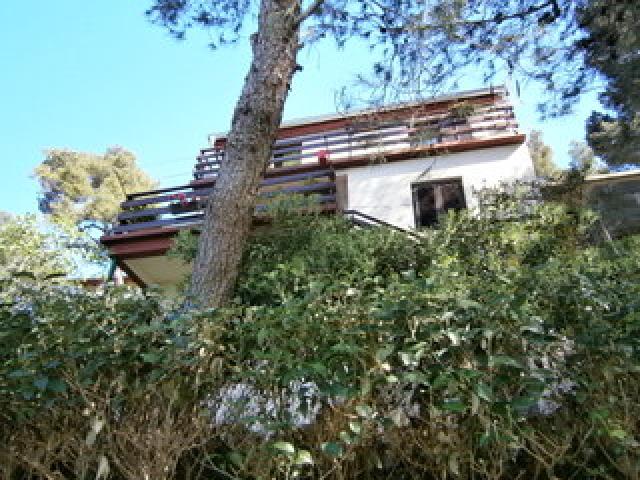 Photos for house 6497