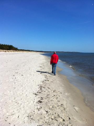 Photos for house 6514