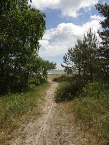 Photos for house 6514