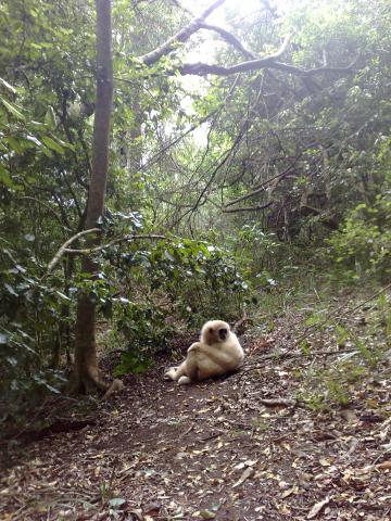 Photos for house 6552