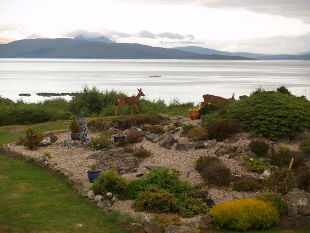 Photos for house 6590