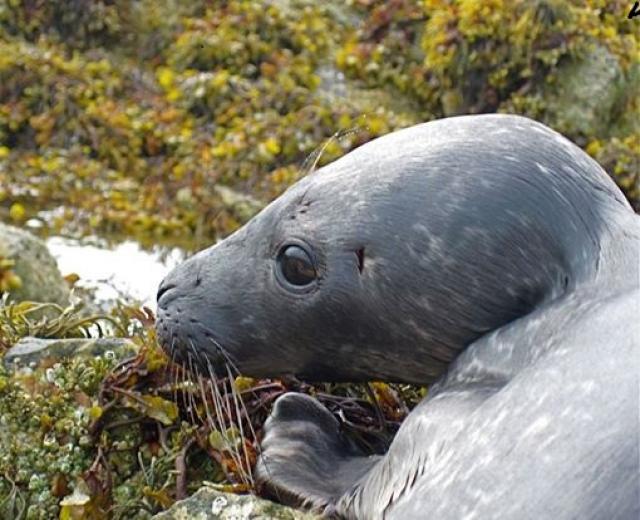 Photos for house 6590