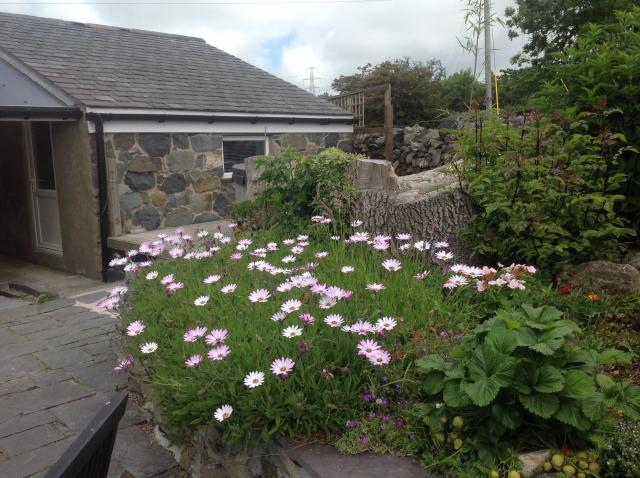 Photos for house 6625