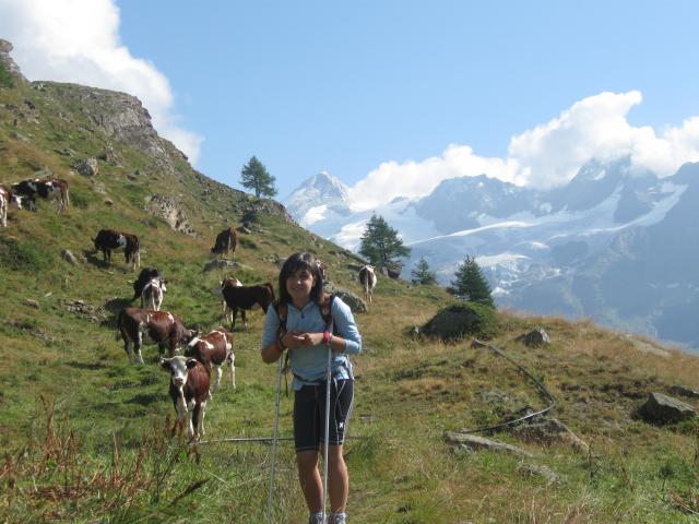 Photos for house 6652