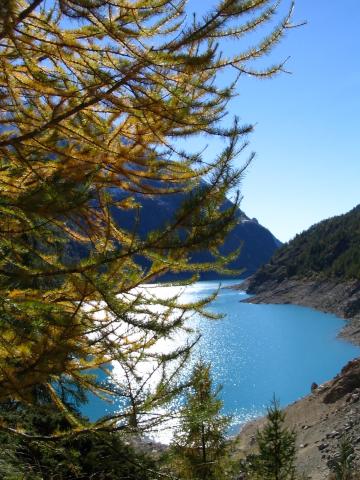 Photos for house 6652