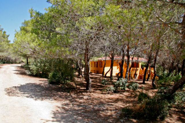 Photos for house 6767